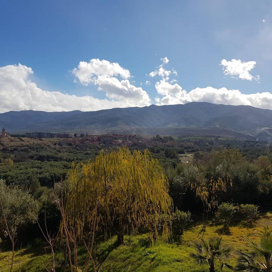 L'Oliveraie D'Amizmiz Luaran gambar