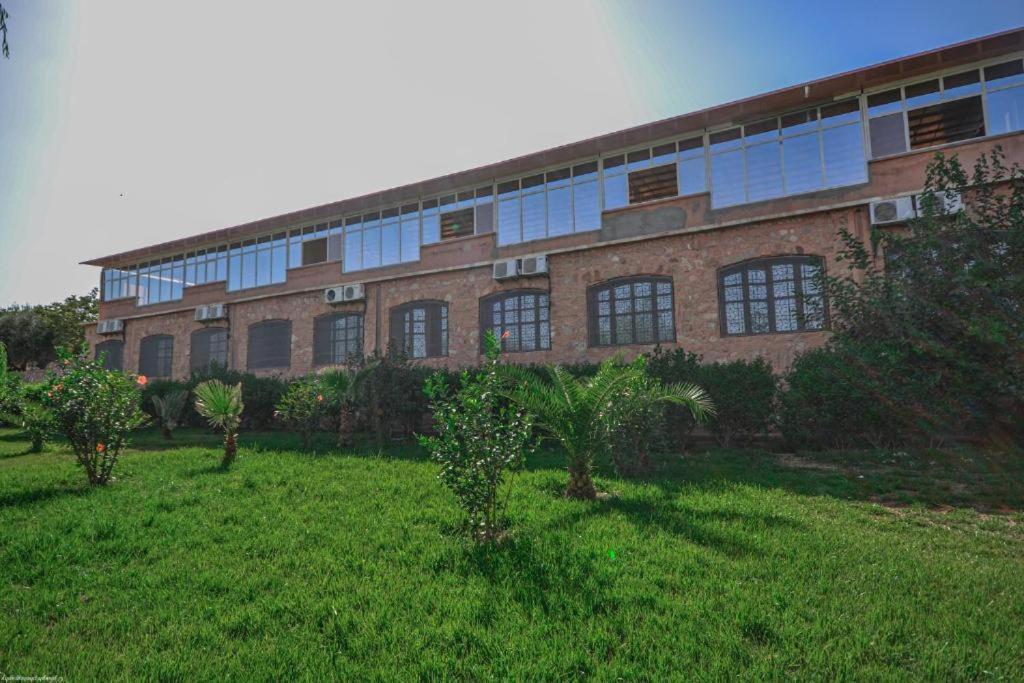 L'Oliveraie D'Amizmiz Luaran gambar