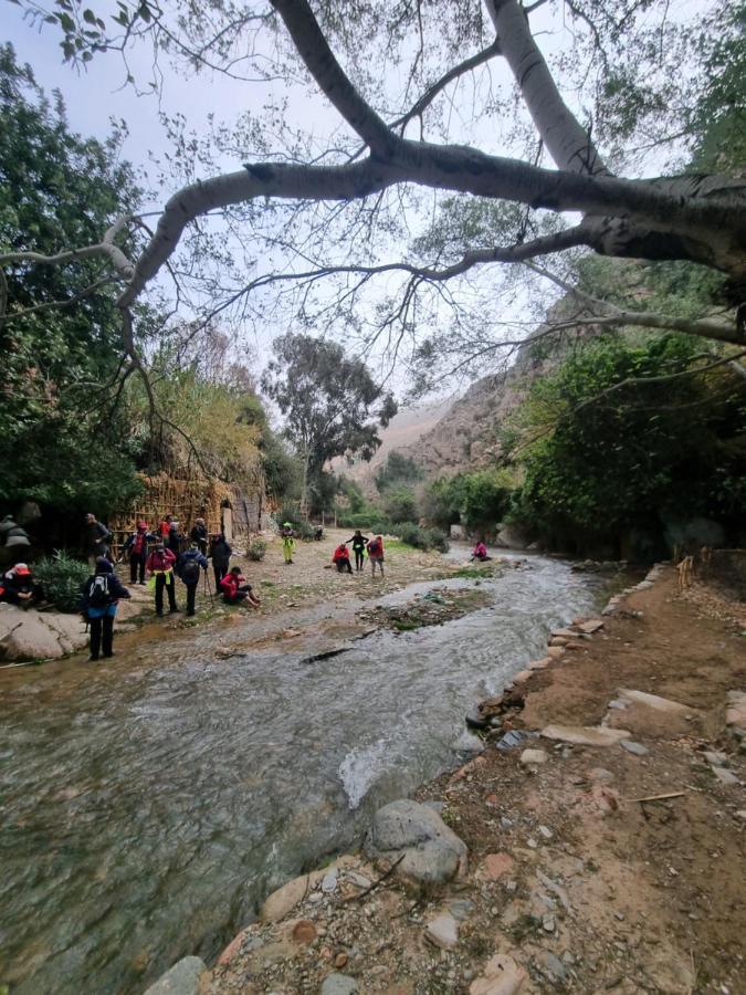 L'Oliveraie D'Amizmiz Luaran gambar